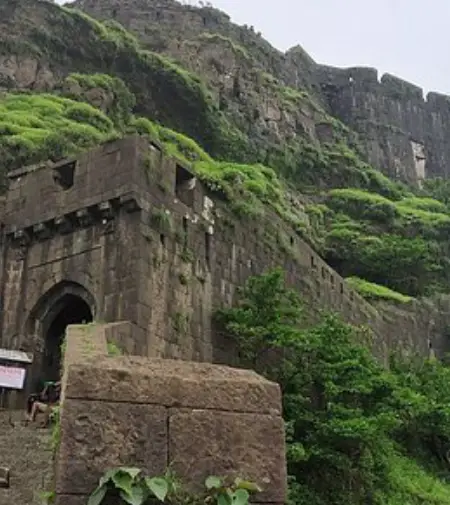 Packers and Movers in Hinjewadi Pune